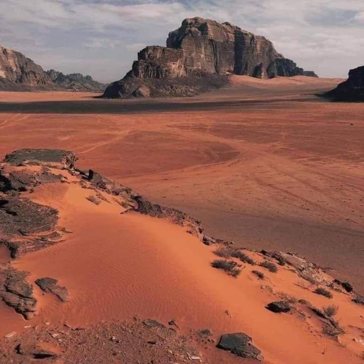Wadi Rum Nature Zewnętrze zdjęcie