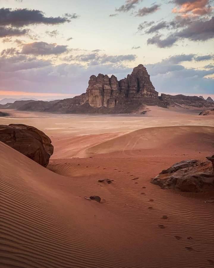 Wadi Rum Nature Zewnętrze zdjęcie